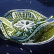 Illustration for article titled Architect Dreams Up Lilypad: Floating City Ark for Eco-Refugees